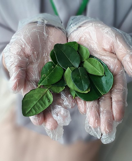 Sostenibilidad en sanidad